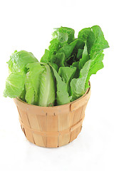 Image showing Wodden Bushel full with green salads. 