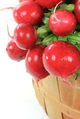 Image showing Radishes in Wooden Bushel Basket. 