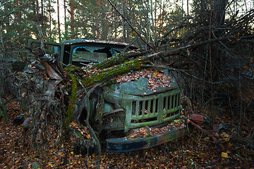 Image showing Fallen tree on abandoned truck left outside