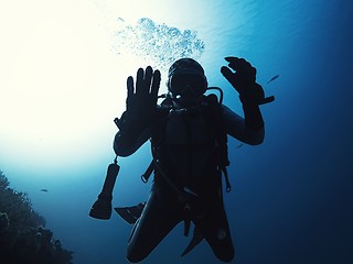 Image showing Scuba diver descending to the bottom