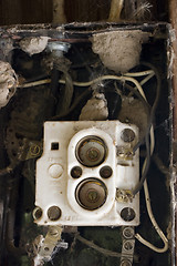 Image showing Wiring problem? Old fuse box with spider webs, blowball seeds an