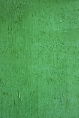 Image showing rough wood background in intense green color