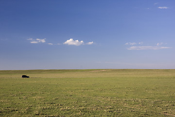 Image showing visiting Pawnee National Grassland