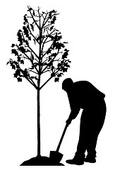 Image showing Young man planting a tree