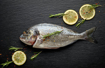 Image showing fresh raw fish