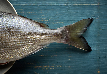 Image showing fresh raw fish