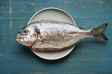 Image showing fresh raw fish