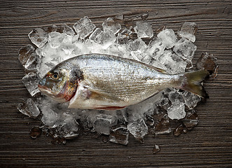 Image showing fresh raw fish
