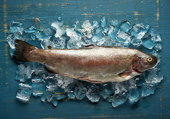 Image showing fresh raw fish