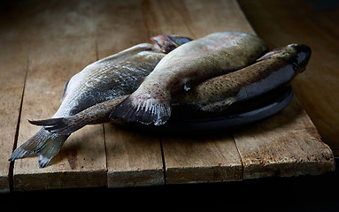 Image showing fresh raw fishes