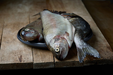 Image showing fresh raw fishes