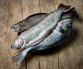 Image showing fresh raw fishes