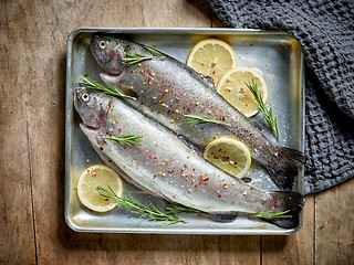 Image showing two raw trout fishes