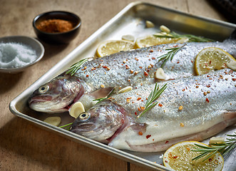 Image showing two raw trout fishes