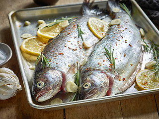 Image showing two raw trout fishes