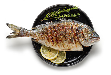 Image showing Grilled fish on black plate