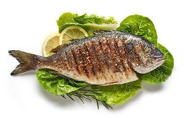 Image showing grilled fish on green salad leaves 