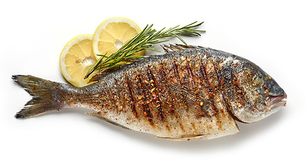 Image showing grilled fish on white background