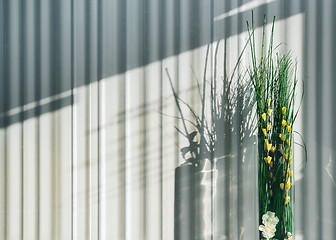 Image showing Striped Room Wall And Floral Decor In The Sunlight - Template