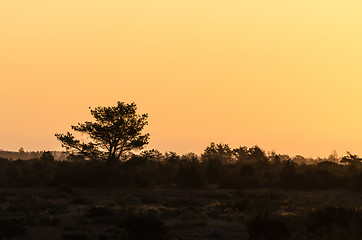 Image showing Silhouettes in a landscape when morning  has broken