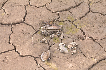 Image showing sea drought change of climate heat water