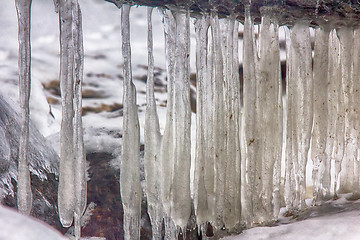 Image showing frozen coast sea in winter