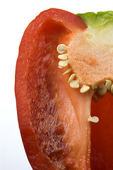Image showing sweet red pepper abstract