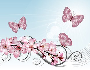 Image showing Blossoming sakura cherry branch with pink flowers