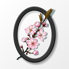 Image showing Branch of pink sakura cherry flowers in frame