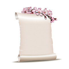 Image showing Scroll blank paper with blossoming cherry branch