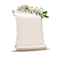 Image showing Scroll blank paper with blossoming cherry branch