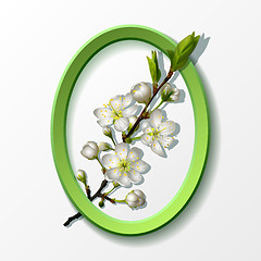 Image showing Branch of white cherry flowers in green frame