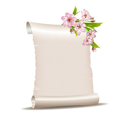 Image showing Scroll blank paper with blossoming cherry branch