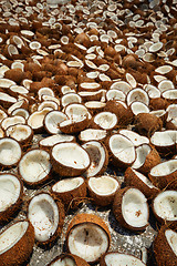 Image showing Drying coconuts, Kerala, South India