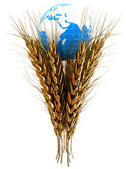 Image showing Golden metal ears of wheat and Earth. Symbol that depicts prospe