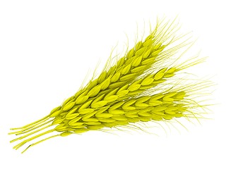 Image showing Wheat ears spikelets with grains. 3d render