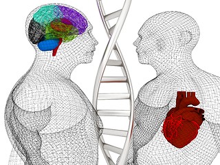 Image showing 3D medical background with DNA strands and wire human body model