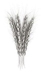 Image showing Metall spikelet. 3d render