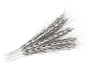 Image showing Metall spikelet. 3d render