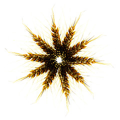 Image showing Golden spikelet. Top view. 3d render