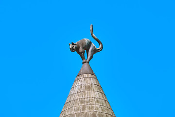 Image showing Cat on the Top of a Roof