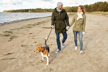 Image showing happy couple with beagle dog on autumn beach