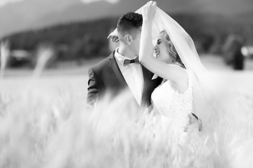 Image showing Groom hugs bride tenderly while wind blows her veil in wheat field somewhere in Slovenian countryside.