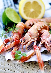 Image showing Delicious Grilled Langoustines 