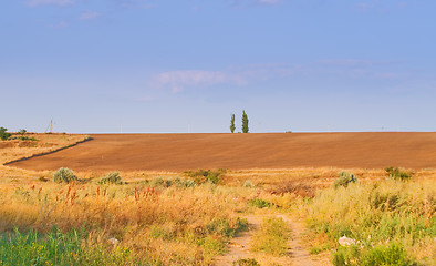 Image showing summer landscape