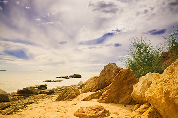 Image showing sea shore