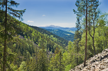 Image showing Carpathian Mountains