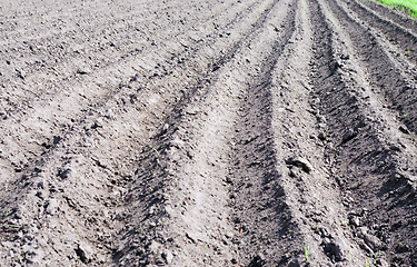 Image showing plowed land