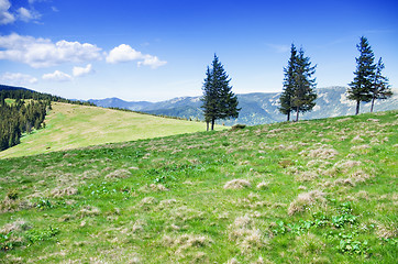 Image showing Green hills of the Carpathian mountains