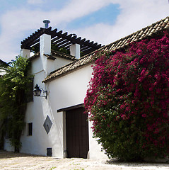Image showing Old Spanish House in Cordoba